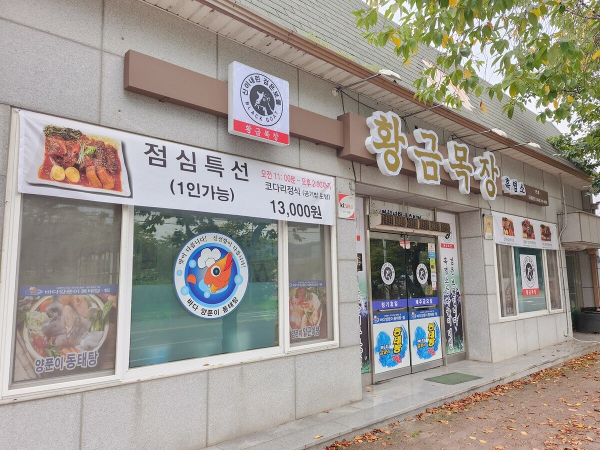 황금.jpg