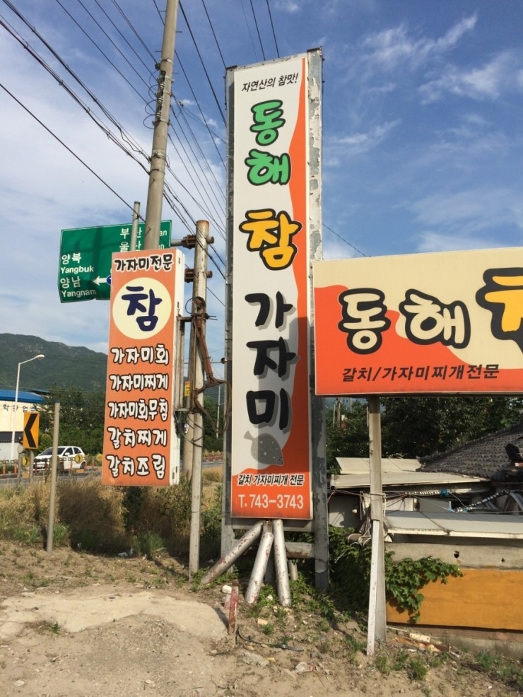 동해.jpg