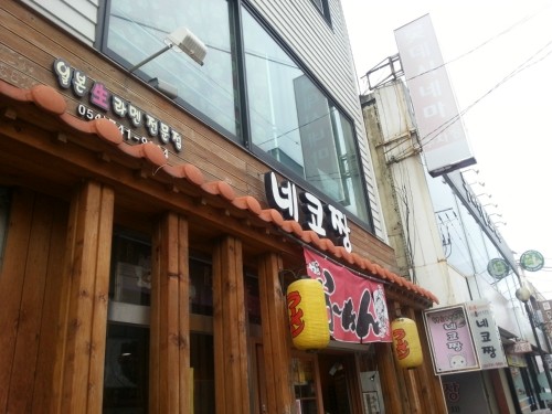 네코짱 1.jpg