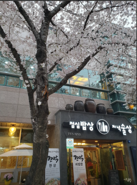 점심밥상저녁술상.PNG