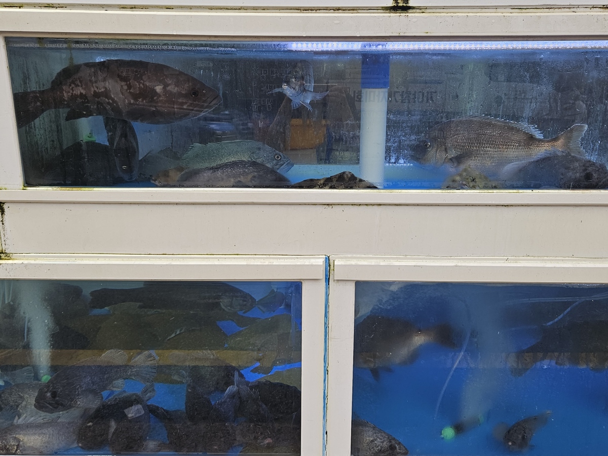 KakaoTalk_20230922_131320445_06.jpg