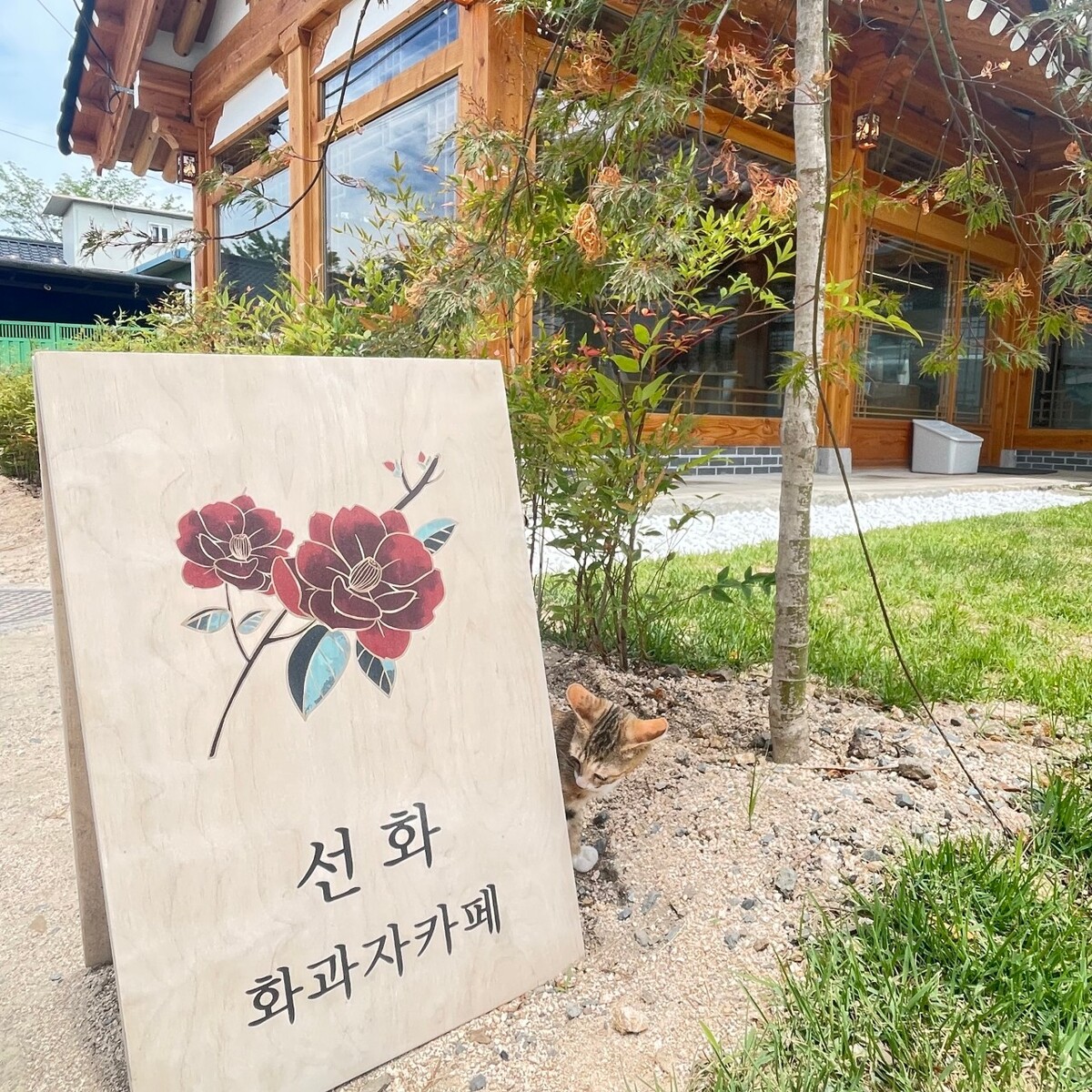 선화5.jpg