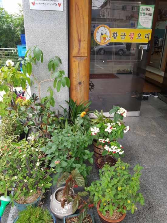Resized_20200624_121341.jpeg