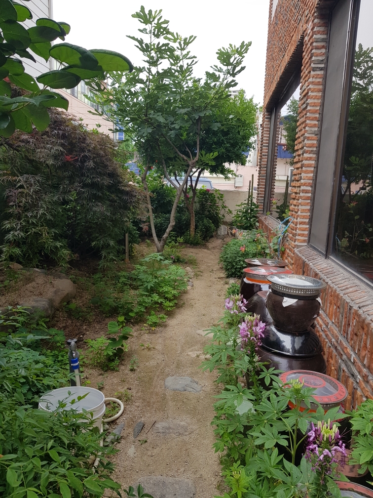Resized_20200624_121438.jpeg