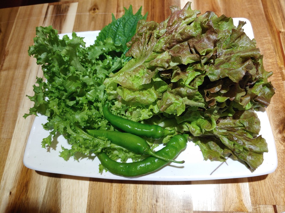KakaoTalk_20200919_101343528_16.jpg