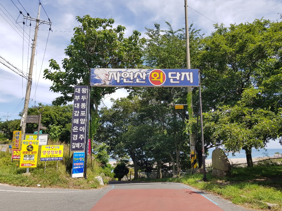 KakaoTalk_20200623_222301150_18.jpg